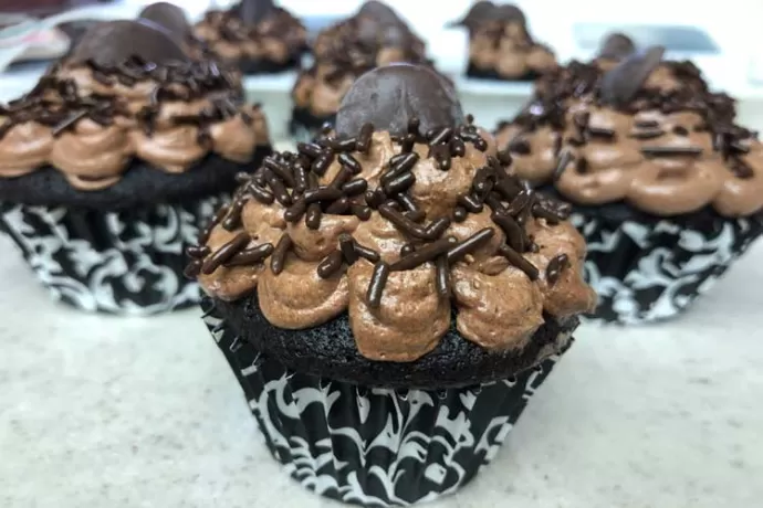 Ultimate Chocolate Cupcakes